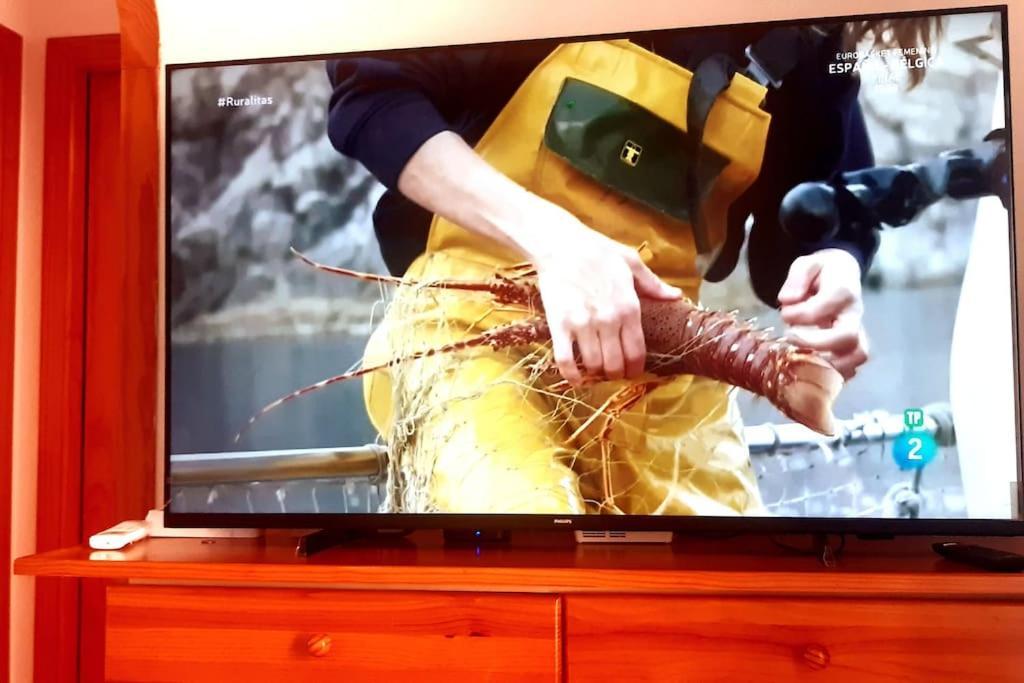 شقة Adventure Harbour تورّيفيِخا المظهر الخارجي الصورة