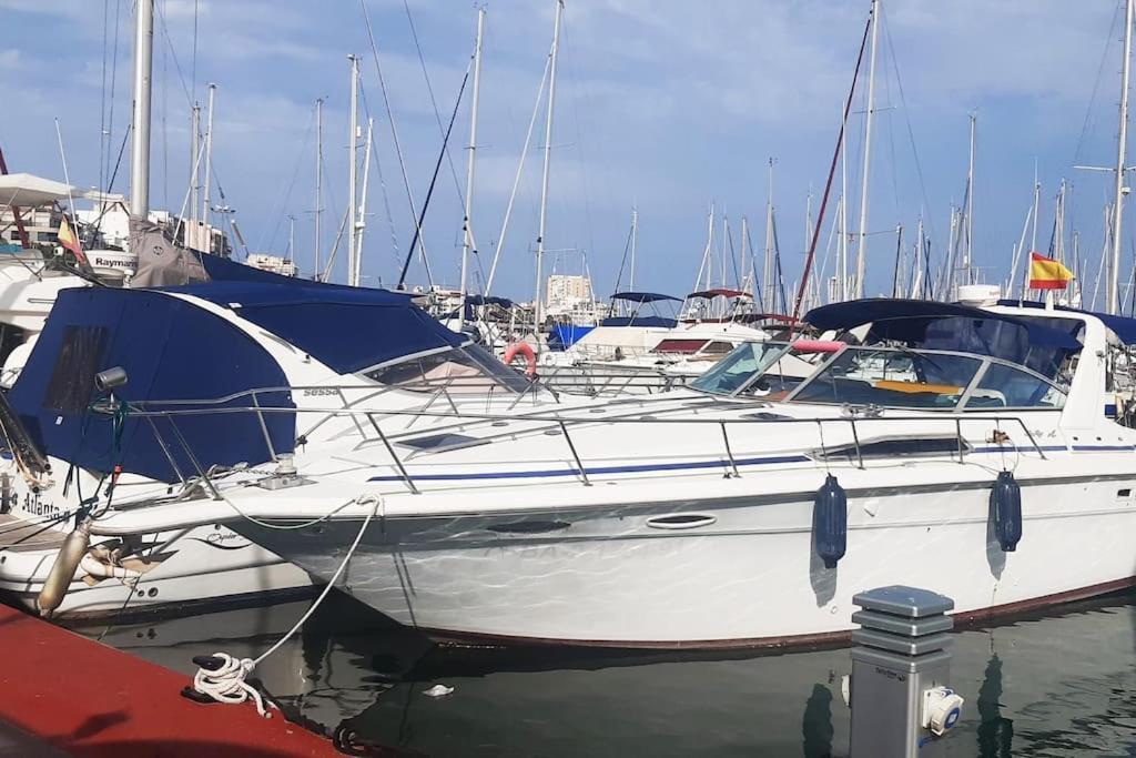 شقة Adventure Harbour تورّيفيِخا المظهر الخارجي الصورة