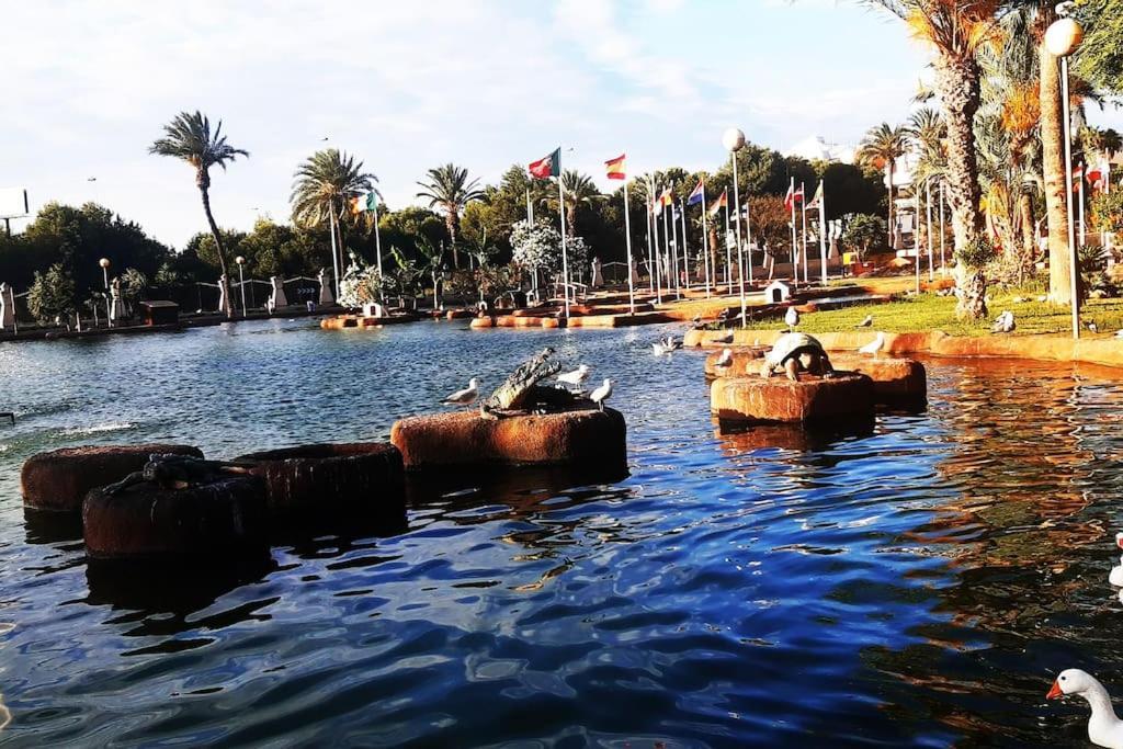شقة Adventure Harbour تورّيفيِخا المظهر الخارجي الصورة